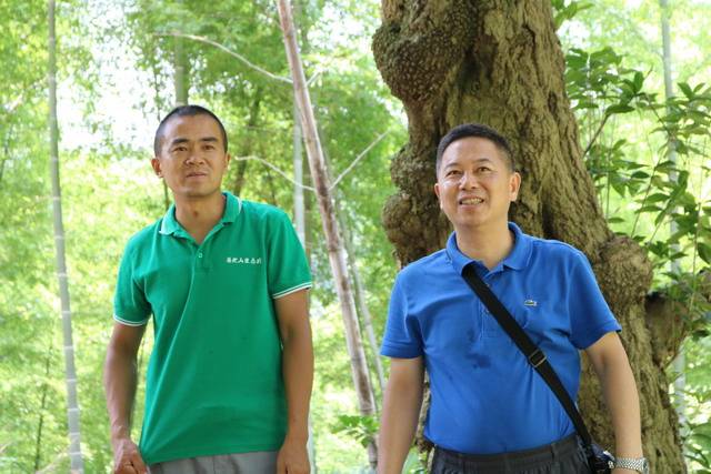 2026北京互联网软件开发企业综合实力排名解读